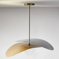 Ceiling Fan Pendant Light