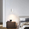 Cylinder Pendant Light - Modern Lighting Solution for Stylish Interiors
